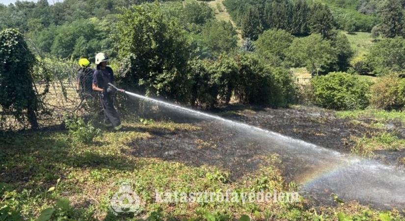 Száraz fű égett, villanyóra olvadt le – több helyszínen dolgoztak a zalai tűzoltók