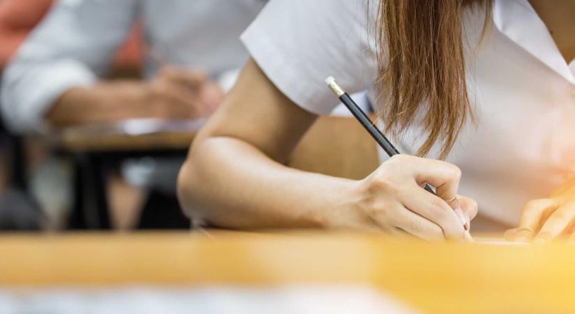 A diákok 79 százaléka ment át a képességvizsgán
