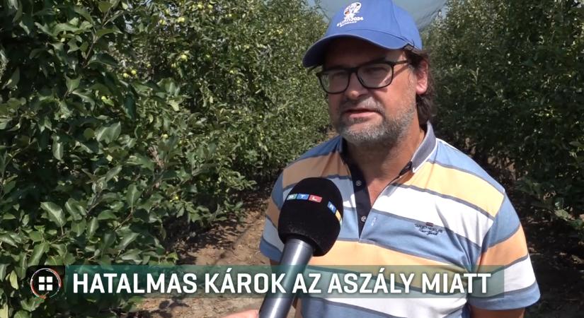 Vízhiány, aszály, drága meggy – mi vár a magyar gazdákra?