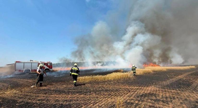 Súlyos baleset, szabadtéri tüzek és veszélyes fák – sok dolguk akadt a veszprémi tűzoltóknak