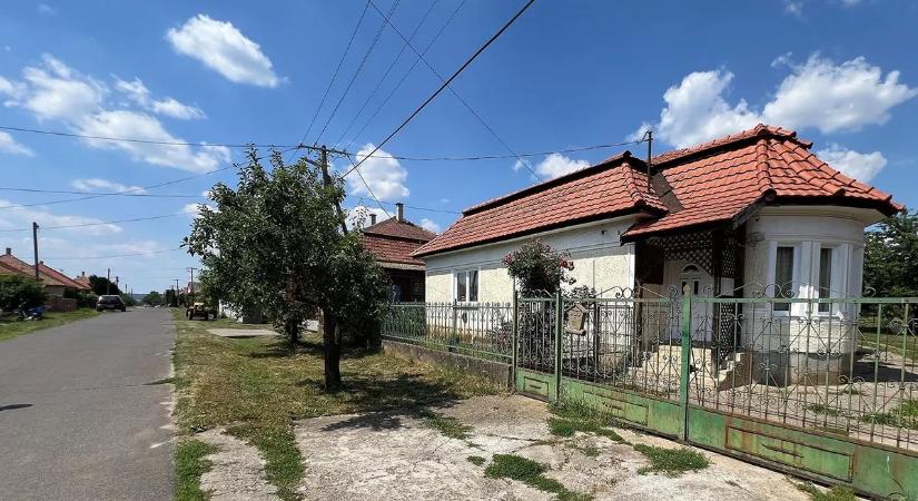 Óbudai kannibál: ezért nem követett el kegyeletsértést S. Zsolt