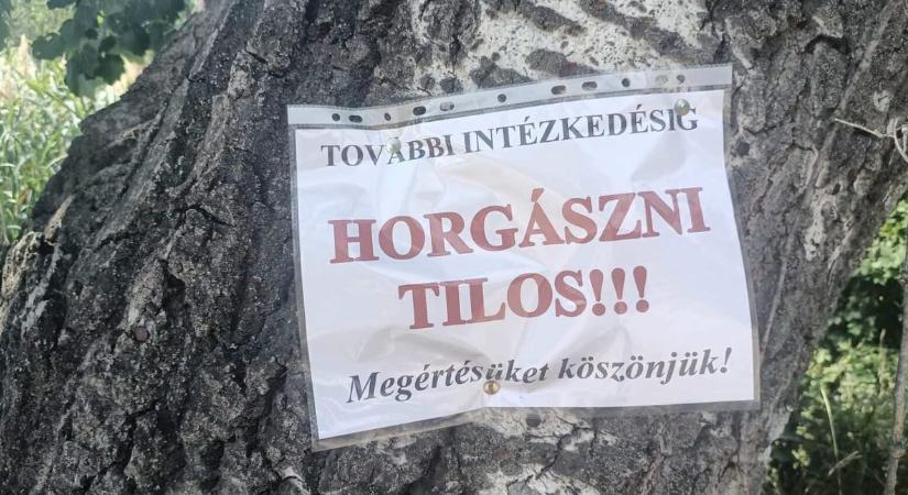 A hőség miatt megtiltották a horgászatot a Dömsödi Holt-Dunán