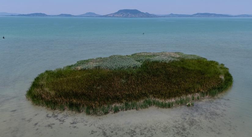 Vasas Gábor: a Balatonra egyszerre nehezedik négy csapás
