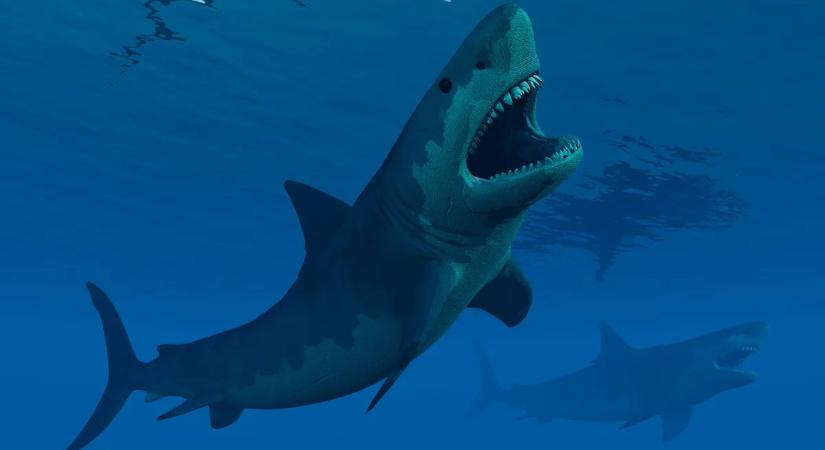 Egyetlen csigolya árulta el, mekkora szörnyeteg lehetett a megalodon