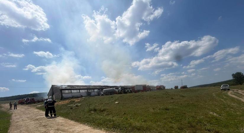 „Mindenünk odaveszett” – Hatalmas a baj Kányban, ahol kétezer bála égett