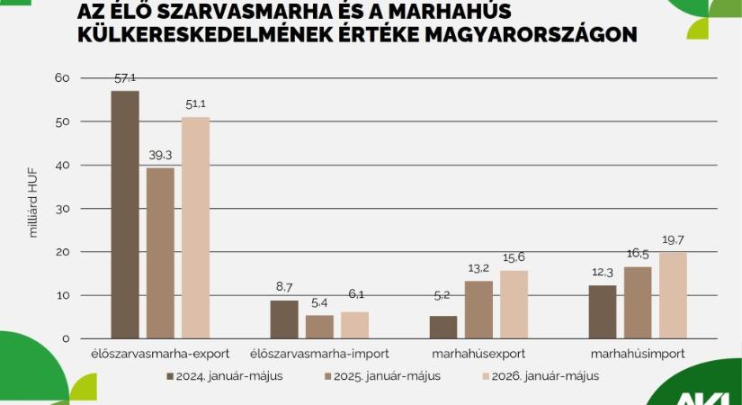 Élénkült az élő marha és a marhahús külkereskedelme