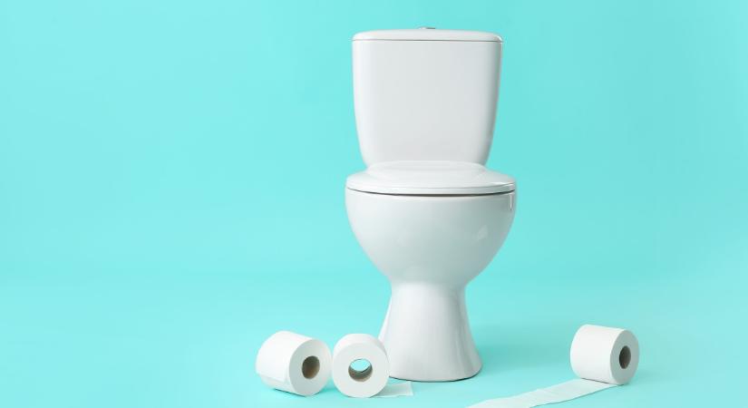 Gyakorlati haszna van a jégkockának a WC-ben, pedig elsőre bizarrnak tűnhet
