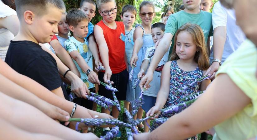 Mindent vittek az élmények – Így telt a legmenőbb bonyhádi tábor – FOTÓKKAL