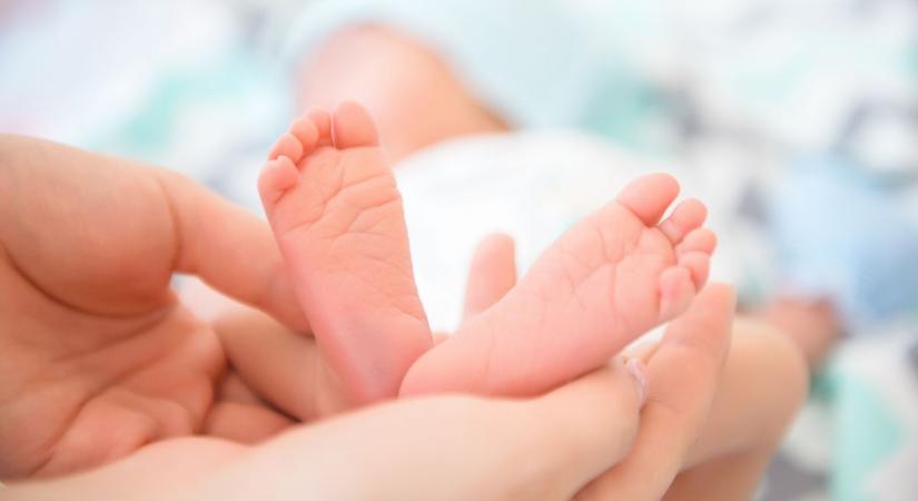 Kiskunhalasi anyakönyvi hírek, 26. hét