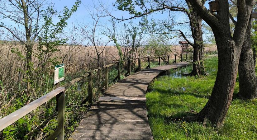 Vár rád a nyár! 10 hűsítő 1,5-2 km-es vizes tanösvény a kánikulára