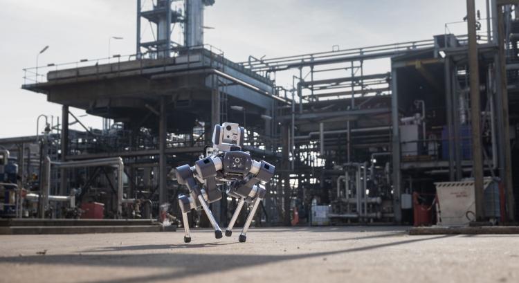 Éles bevetésben bizonyít a robotkutya