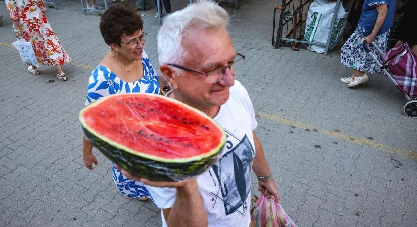 A tökéletes dinnye titka, így lehet kiválasztani a legédesebbet