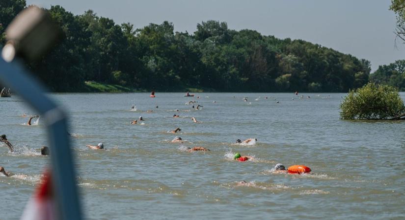 Így még nem láttad a Dunakanyart – ha szeretnéd, úszd át a Dunát Szentendre és Budakalász között