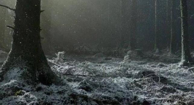 Milliók haraptak rá Robert Eggers vérfarkasos horrorjának előzetesére