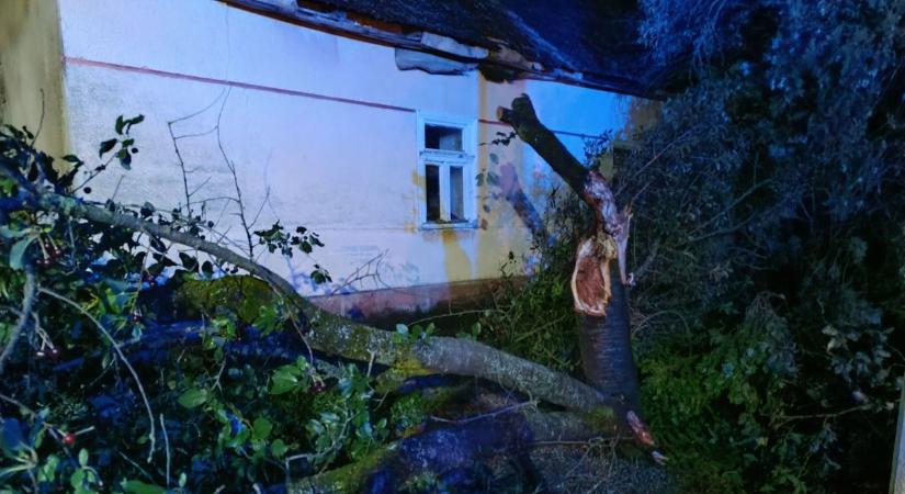 Kidőlt fák és letört ágak – nem csak felfrissülést hozott a vihar Bács-Kiskunban  fotók, videók
