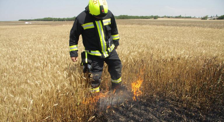 Tízmillió négyzetmétert perzselt fel Magyarországon a hőség