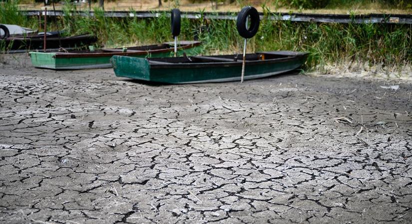 Kiszáradó Velencei-tó: nem vízhiány van, hanem alkalmazkodási válság