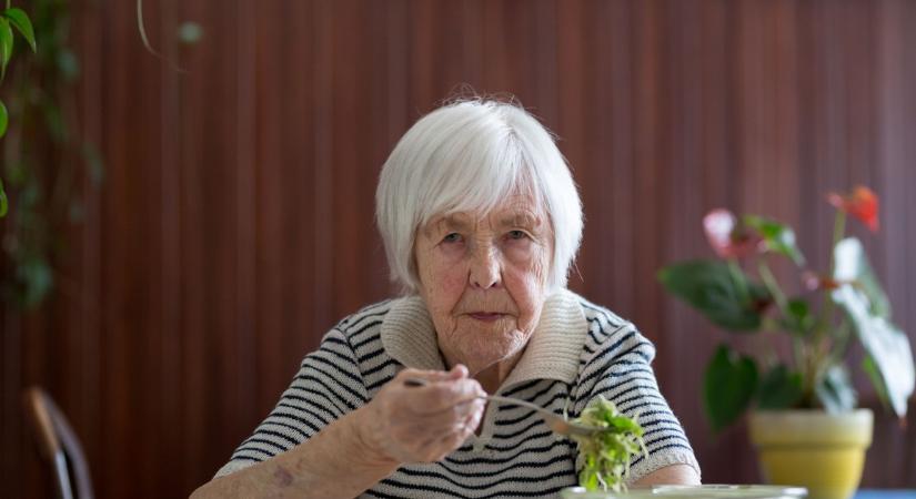 Így juthat nyugdíjasként ingyen vagy pár száz forintért ebédszállításhoz