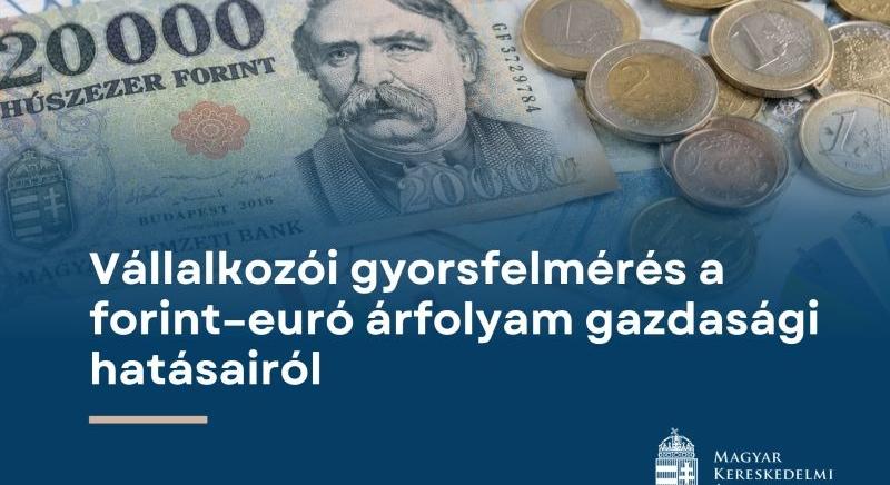 A VOSZ támogatja az MKIK vállalkozói gyorsfelmérését