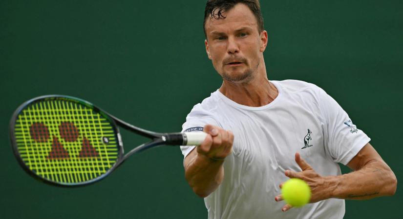 Fucsovics Márton legyőzte a 16. kiemeltet Wimbledonban