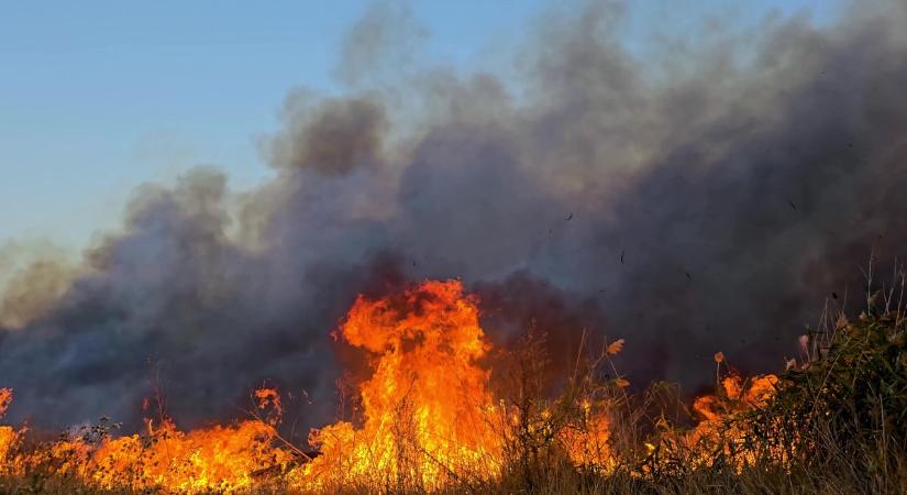 Négy hektáron pusztított a tűz Tiszabőn, egy épületet is elértek a lángok