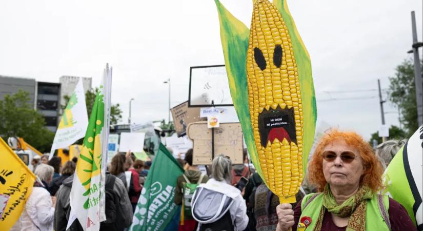 A jó, a rossz és a csúf GMO