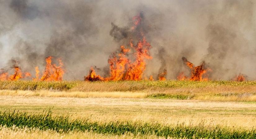 Brutális tűz pusztít a Tisza-tónál – 11 település tűzoltói küzdenek