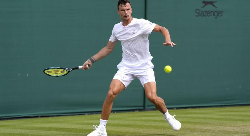 Bravúr a javából! Top 20-as játékost ejtett ki Fucsovics Wimbledonban