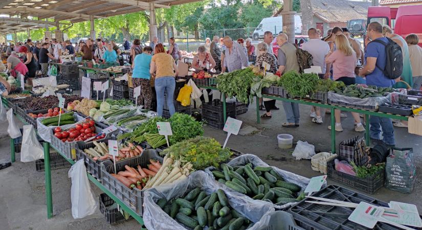Fenntartható, gazdaságosan üzemeltethető piactér a cél