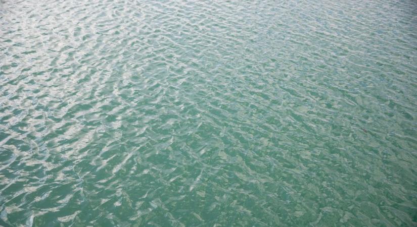 Beugrott a Balatonba, meghalt egy 42 éves férfi