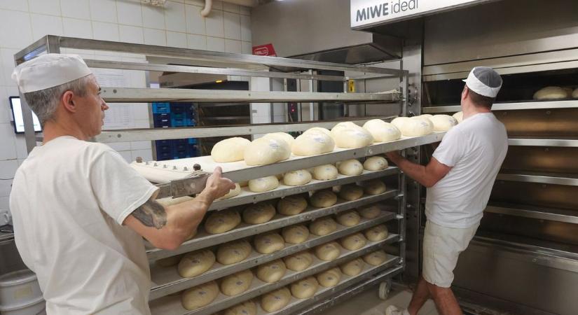 Beborítja a régiót pizzával és a fánkkal a magyar multi, rákaptak a terjeszkedés ízére és mennek tovább