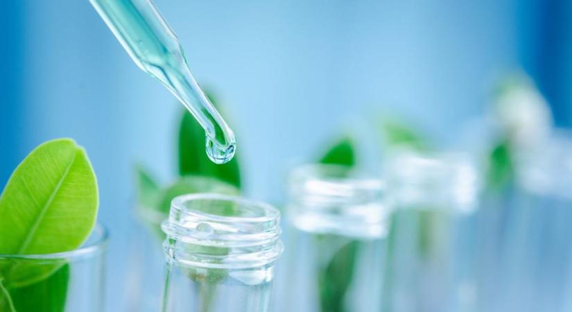 A Lidea és a DSG-hez tartozó Agronutrition egyesíti szakértelmét a vetőmag-technológia területén
