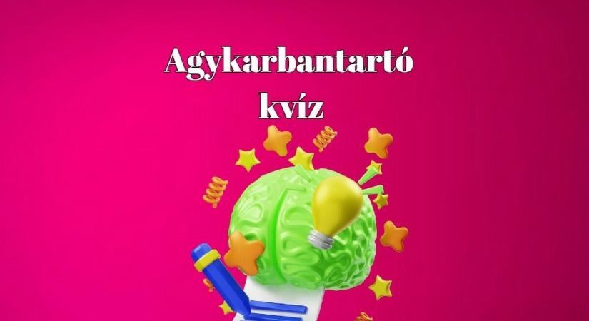 Zsenimágnes érkezett - Egy átlagos kvízrajongó legfeljebb 5 kvízkérdésre tudja a helyes választ