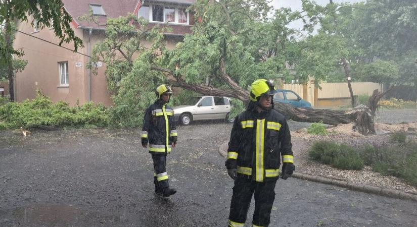 Megérkezett a vihar az ország két végébe – fákat csavart ki, épületeket rongált