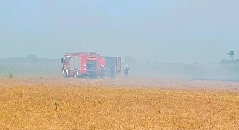Vörösbe borult az ég Tiszafürednél: elképesztő pusztítást végzett a tűz a Hortobágyi Nemzeti Parkban – videó