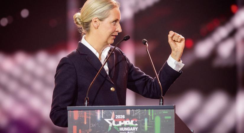 Magyar múlt: német jövő?