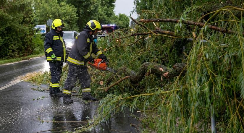 Vihar söpört végig az országon: kidőlt fák és épületkárok több térségben