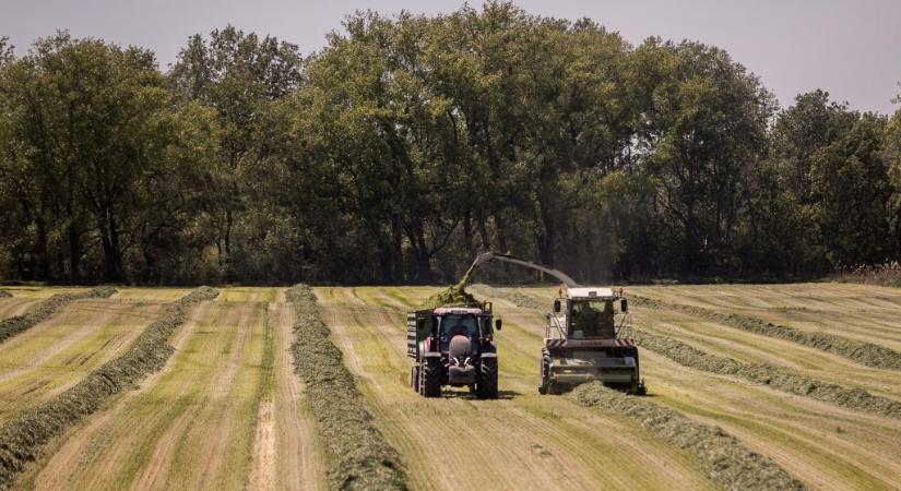 Krízistől tart a mezőgazdaság a vendégmunkásstop miatt