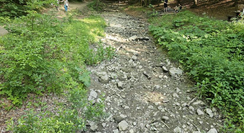 Kiszáradt a medre a Bakony népszerű vízesésének