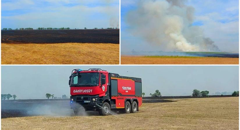 Fotókon és videón a pusztító tűz! Mintegy száz hektár égett le Hortobágyi Nemzeti Park területén