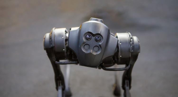 Robotkutyák figyelhetik a beteg növényeket