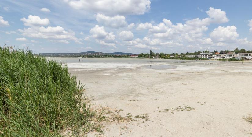 Velencei-tó: Drónfelvétel mutatja be a drasztikus állapotot