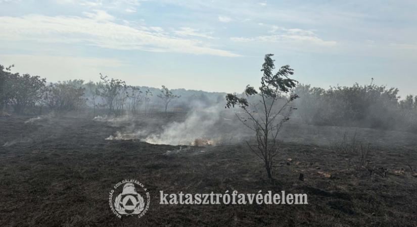 Ismét nagy területen pusztított a tűz Tiszabőn
