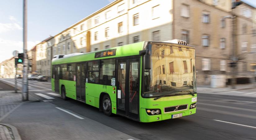 Fideszesek Baranyában: bolondok vagy bűnözők?