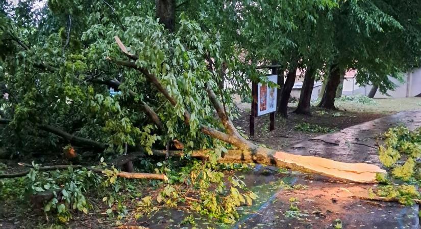 Szinte percenként riasztották a tűzoltókat: így tépte szét Nagykanizsát és környékét a vihar