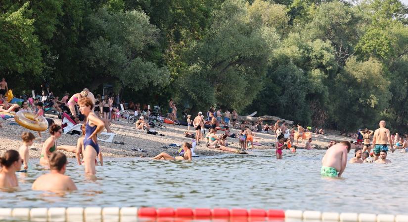 Drámai jelenetek a Római-parton: két kisgyereket sodort el a Duna, táborozók szúrták ki és mentették meg az életüket