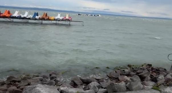 Rejtélyes tragédia: Holtan vetette a Balaton-partra a víz Csokit, a család szerint nem baleset történt – ezt közölte a rendőrség