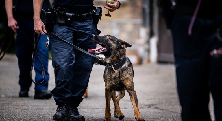 Nyilvánosságra került egy levél, elvehetik gazdáiktól a rendőrkutyákat, amennyiben rosszul válaszolnak egy kérdésre
