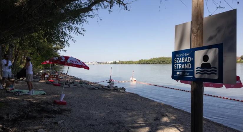 Szabadstrandi minifesztivál, írók-költők a Balatonon és csillagfényes kertmozi