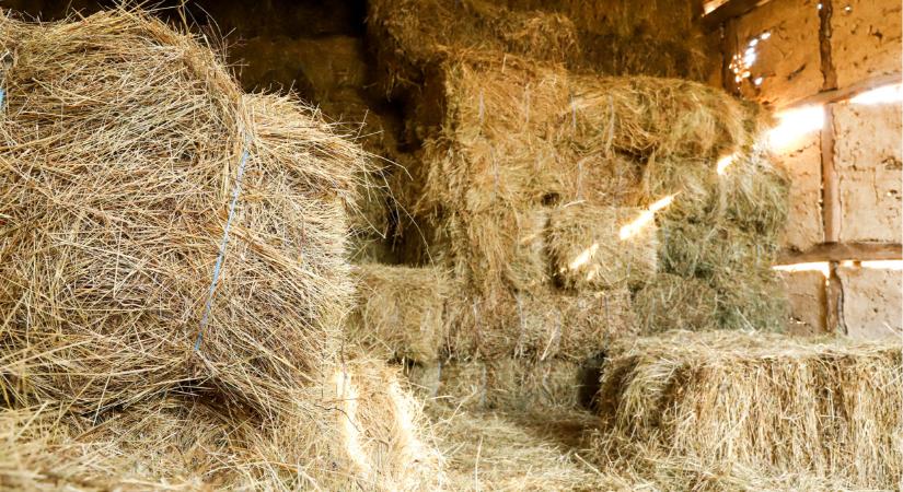 Sok gazda már a tartalékait éli fel: egyre többen kényszerülnek súlyos lépésre